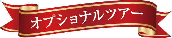 オプショナルツアー