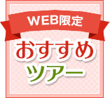 WEB限定 おすすめツアー